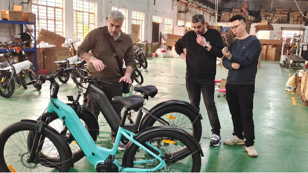 品牌塑造新高度，定制令人瞩目的电动自行车产品