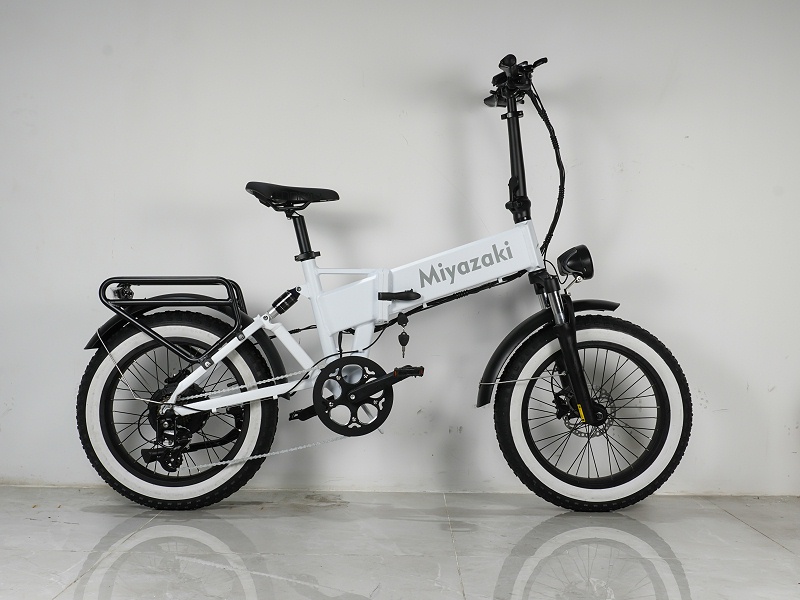 城市电动自行车品牌定制