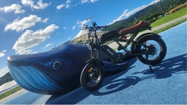 折叠沙滩电动自行车：让您沉浸在海滩的美景中
